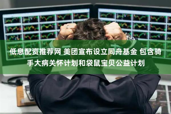 低息配资推荐网 美团宣布设立同舟基金 包含骑手大病关怀计划和袋鼠宝贝公益计划